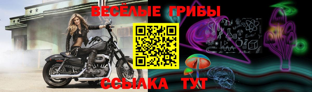 Псилоцибиновые грибы мицелий Чапаевск
